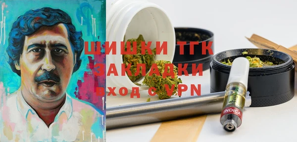 PSILOCYBIN Балабаново